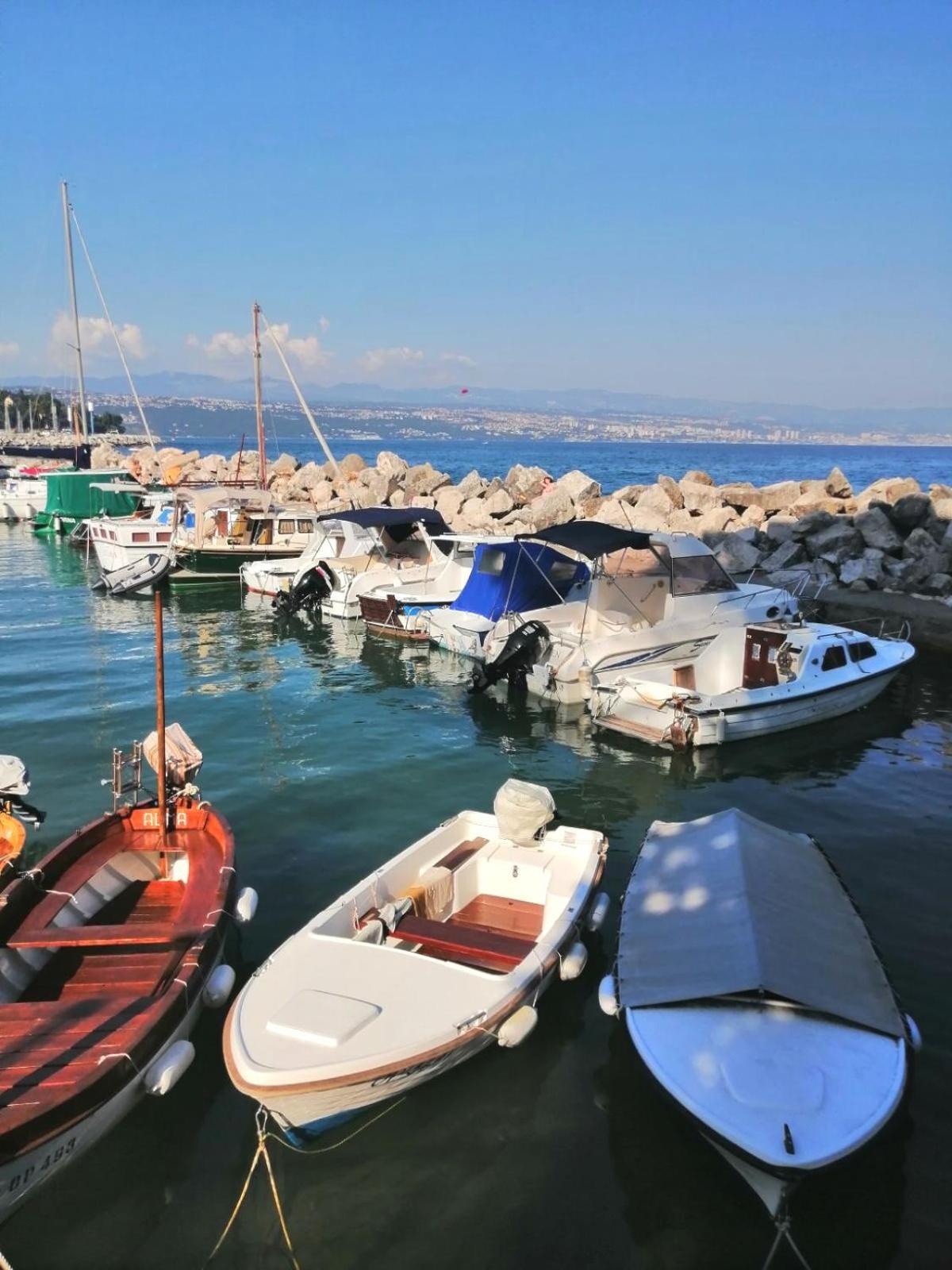 Cozy Apartment Bosnjak Near Opatija, With Sea View Terrace, Air Condition, Free Private Parking อิตชิชี ภายนอก รูปภาพ